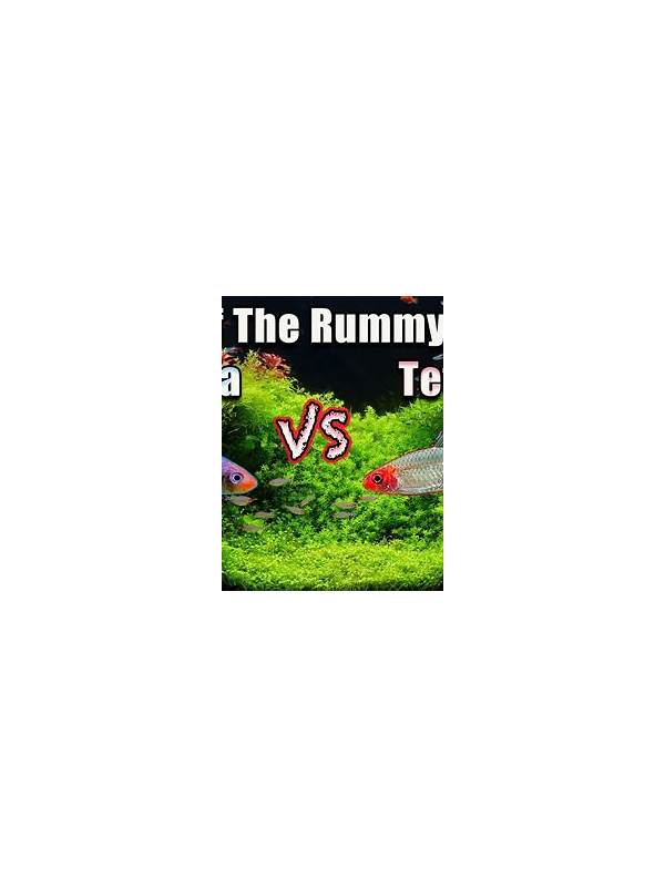 Rummy Comparison: Broad Draws Versus Exact Draws