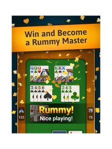 Rummy Plan Language: Describe