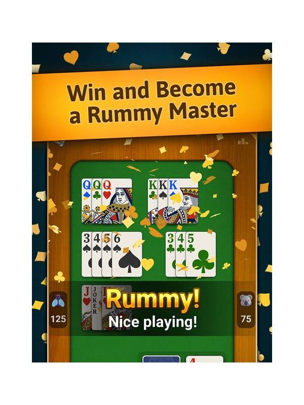 Rummy Plan Language: Describe